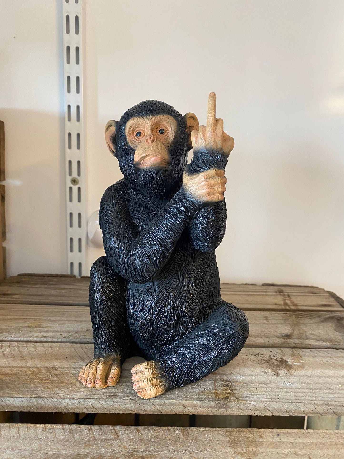 Cheeky Monkey Resin Sculpture (Small, Med and Large)