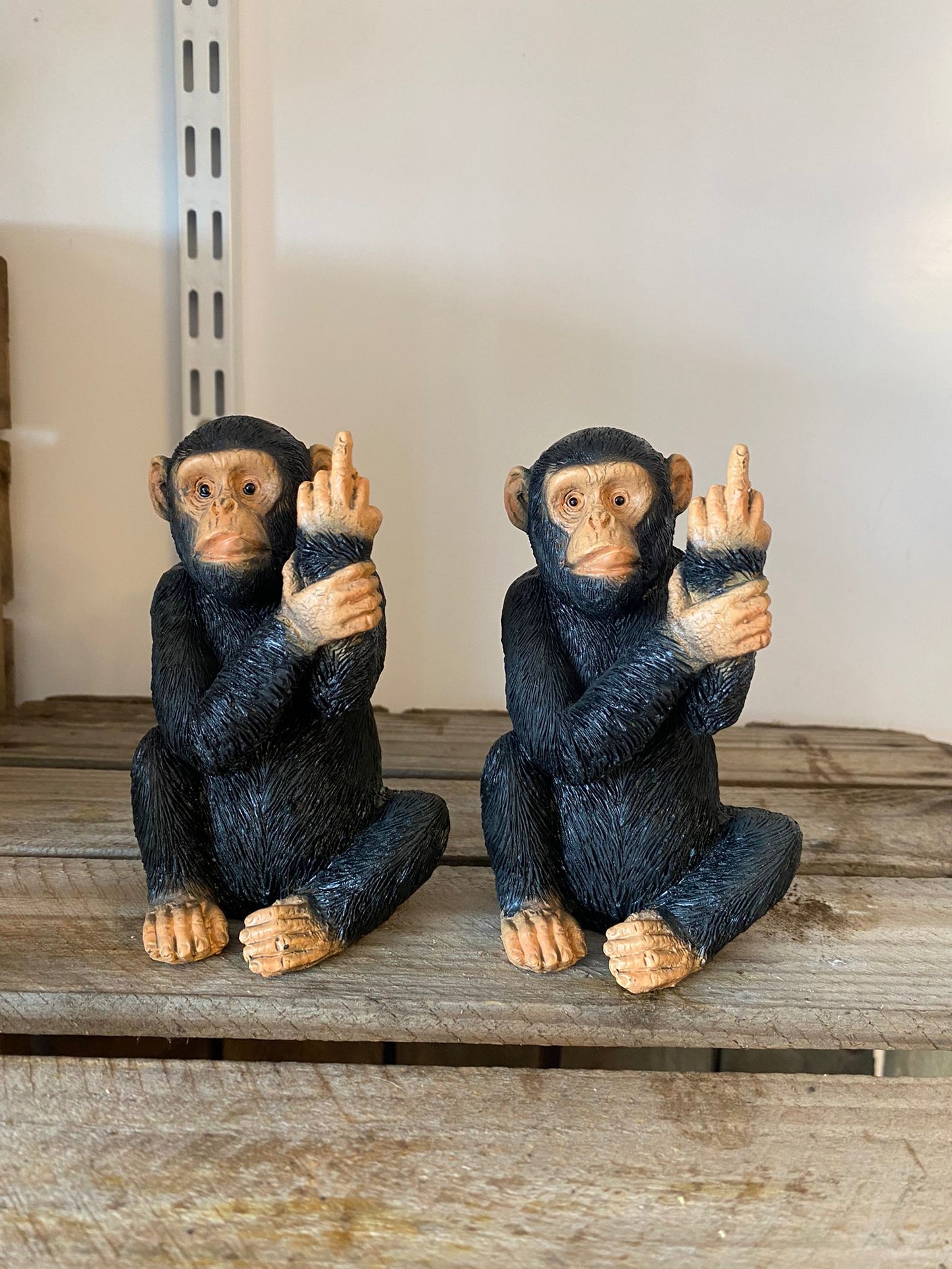 Cheeky Monkey Resin Sculpture (Small, Med and Large)