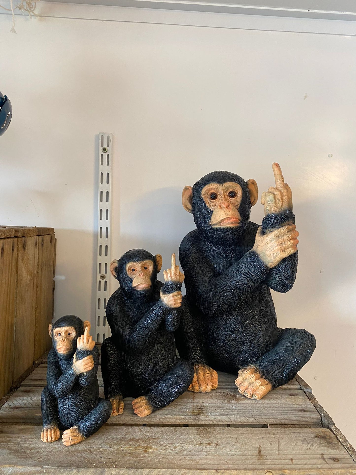 Cheeky Monkey Resin Sculpture (Small, Med and Large)