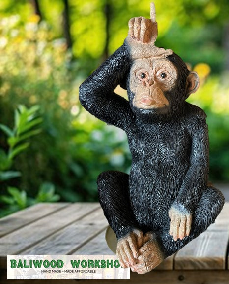 Cheeky Monkey Loser